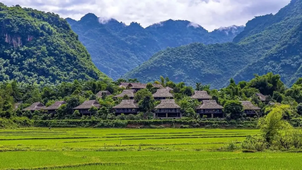 Những căn nhà sàn mái lá nép giữa cây xanh bên ruộng lúa xanh dưới núi mờ sương ở Mai Châu.