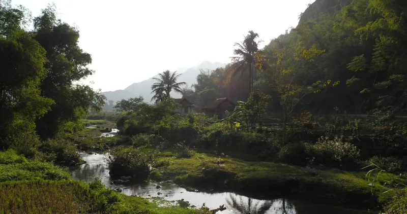 Dòng suối nhỏ len lỏi qua cánh đồng xanh và hàng cau dưới núi mờ sương ở thung lũng Mai Chau.