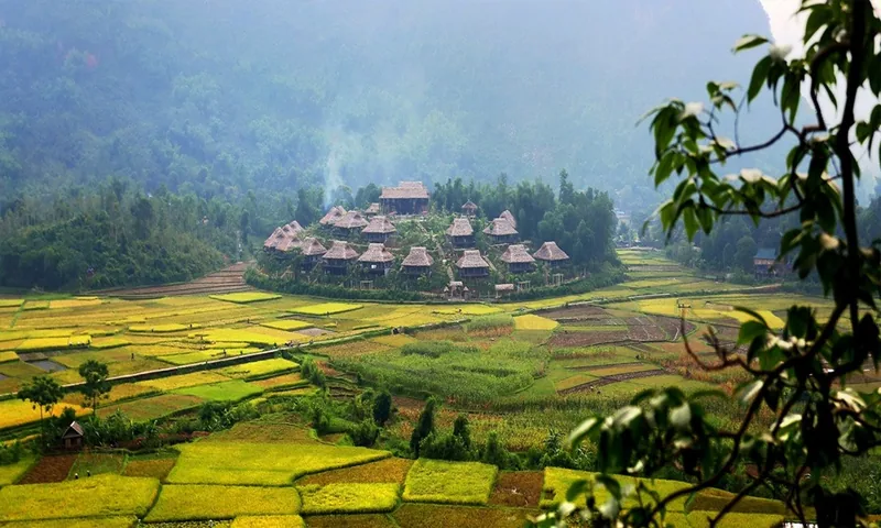 Những nhà sàn mái lá tụ họp giữa ruộng lúa xanh vàng trong thung lũng Mai Chau mờ sương.