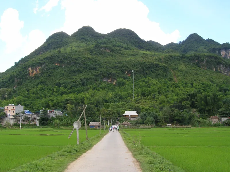 Một nhóm người đi bộ trên con đường nhỏ giữa ruộng lúa xanh hướng về núi đá vôi ở Mai Châu, Việt Nam.