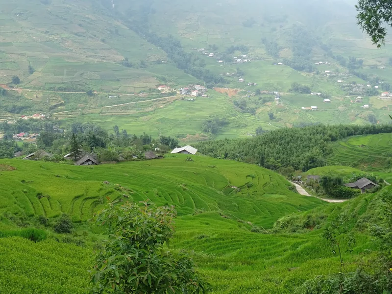 Ruộng bậc thang xanh mướt trải dài khắp thung lũng Mường Hoa gần Sa Pa với những căn nhà làng nằm rải rác.