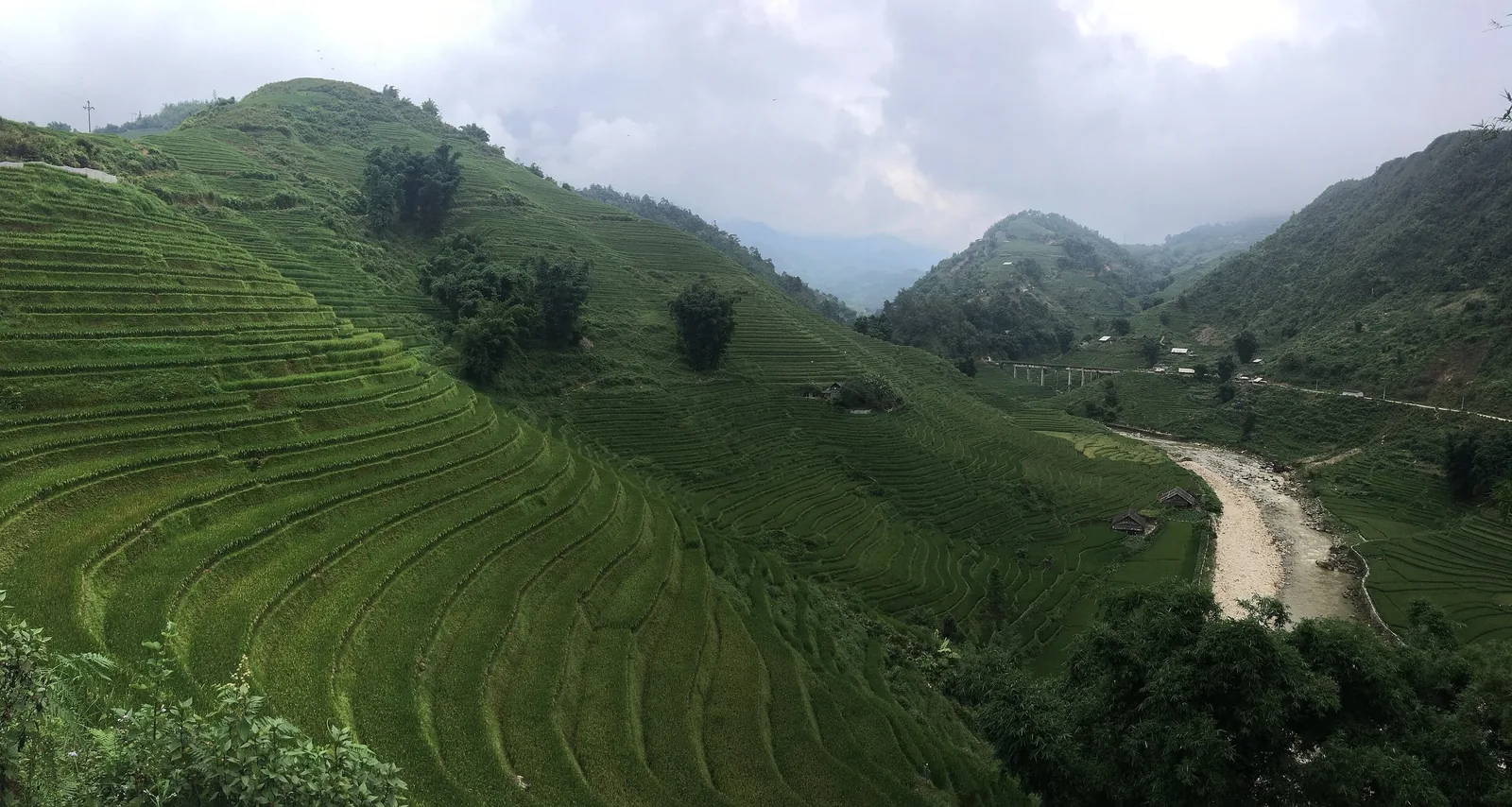 Những ruộng bậc thang xanh mướt trải dài trên sườn núi phía trên thung lũng Mường Hoa ở Sa Pa.