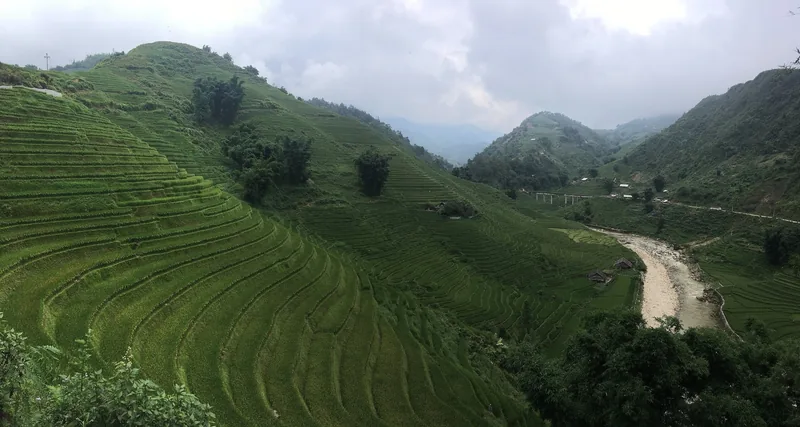 Những ruộng bậc thang xanh mướt trải dài trên sườn núi phía trên thung lũng Mường Hoa ở Sa Pa.